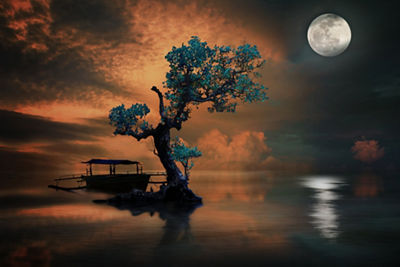 imagePROGRAF PRO-6600